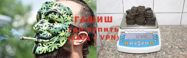 сатива Осинники