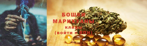 сатива Осинники