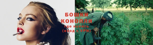 сатива Осинники