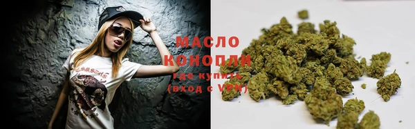 сатива Осинники