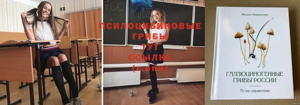 меф Осташков