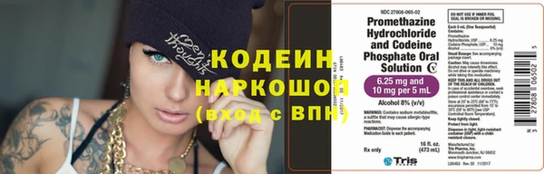 сатива Осинники