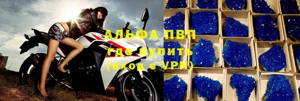 сатива Осинники
