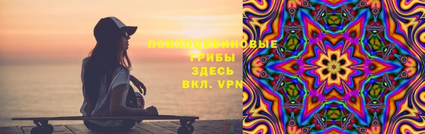 сатива Осинники