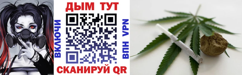 Бошки Шишки планчик  Петушки 